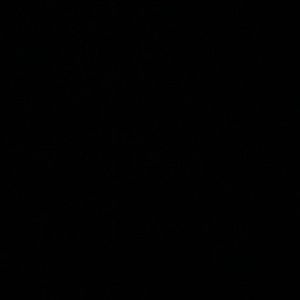 Meet your Posher, Ernesto